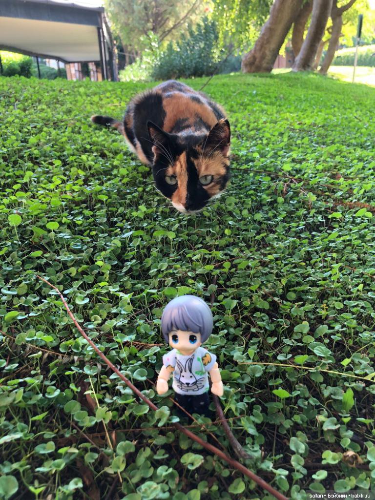 Буня и Тайто на отдыхе — Гибриды шарнирных кукол (не БЖД): подбор тела