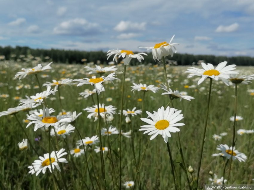 Танюшка Ворошиловградская фабрика