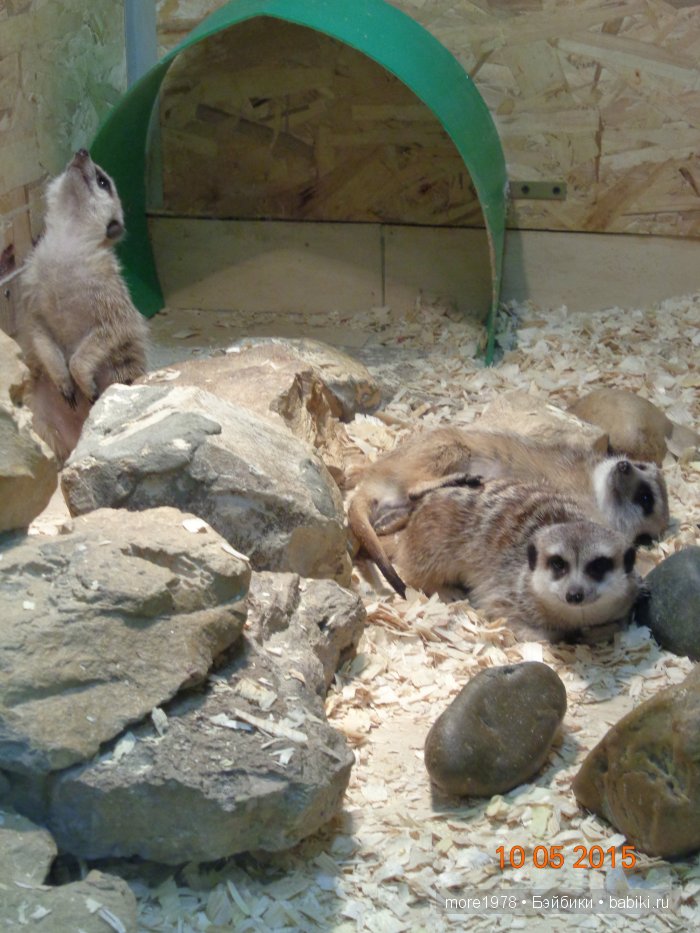 Путешествие из Владимира в Казань... или мечты должны сбываться | Бэйбики Путешествие из Владимира в Казань... или мечты должны сбываться