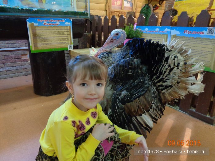 Путешествие из Владимира в Казань... или мечты должны сбываться | Бэйбики Путешествие из Владимира в Казань... или мечты должны сбываться