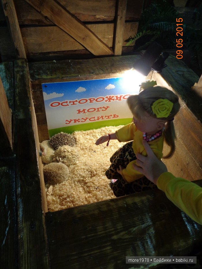 Путешествие из Владимира в Казань... или мечты должны сбываться | Бэйбики Путешествие из Владимира в Казань... или мечты должны сбываться