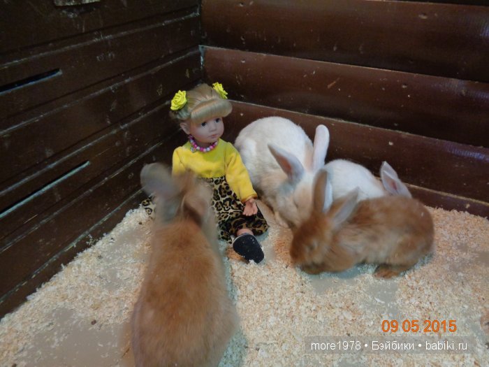 Путешествие из Владимира в Казань... или мечты должны сбываться | Бэйбики Путешествие из Владимира в Казань... или мечты должны сбываться