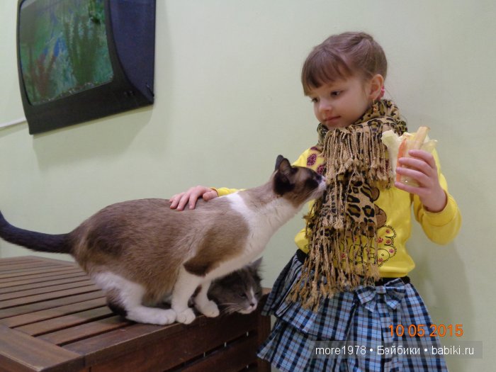 Путешествие из Владимира в Казань... или мечты должны сбываться | Бэйбики Путешествие из Владимира в Казань... или мечты должны сбываться