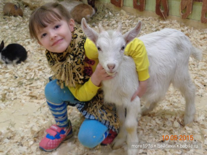 Путешествие из Владимира в Казань... или мечты должны сбываться | Бэйбики Путешествие из Владимира в Казань... или мечты должны сбываться