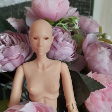 BJD Анна от компании Trudograd