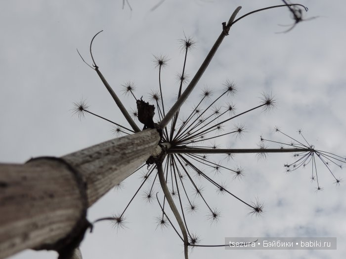 Общероссийский день библиотек, я и маленькие
