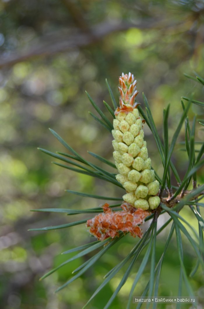Общероссийский день библиотек, я и маленькие