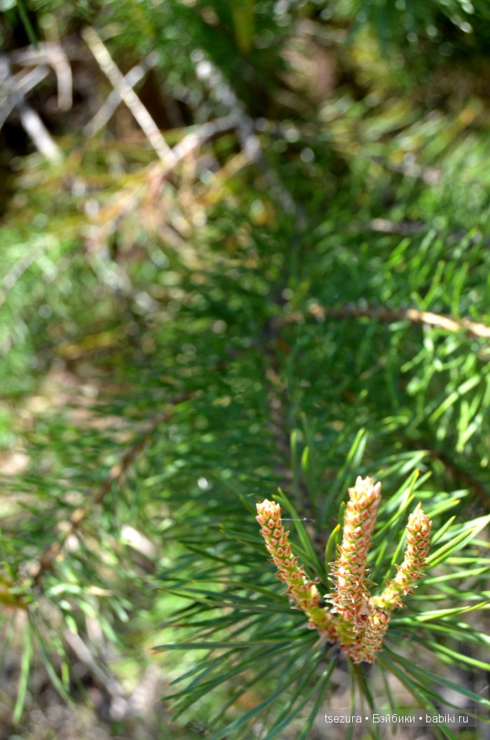 Общероссийский день библиотек, я и маленькие
