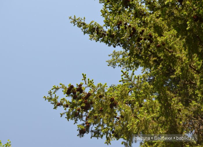 Общероссийский день библиотек, я и маленькие