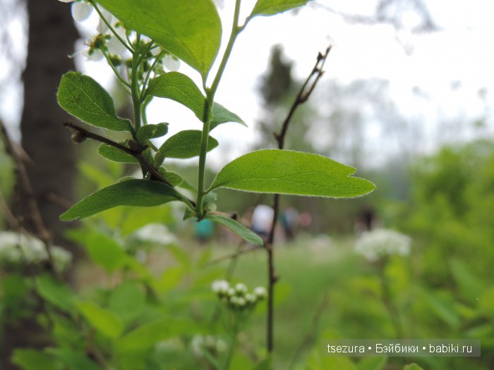 Общероссийский день библиотек, я и маленькие