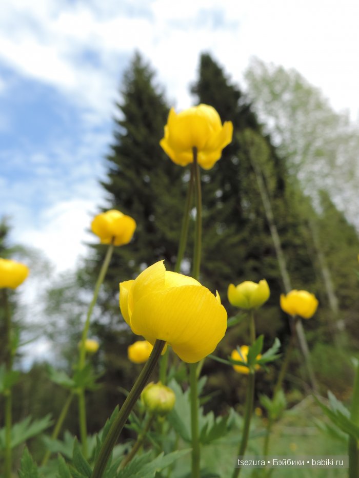 Общероссийский день библиотек, я и маленькие