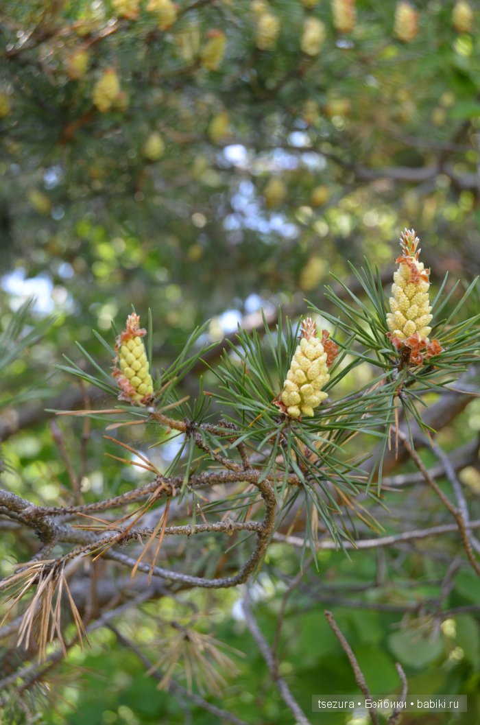 Общероссийский день библиотек, я и маленькие