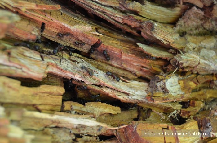 Общероссийский день библиотек, я и маленькие