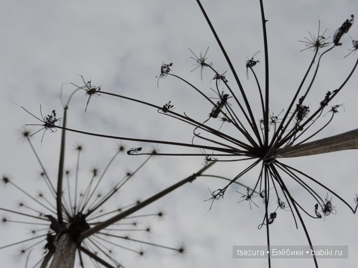 Общероссийский день библиотек, я и маленькие