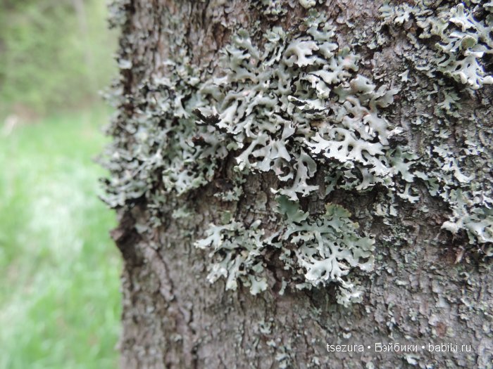 Общероссийский день библиотек, я и маленькие