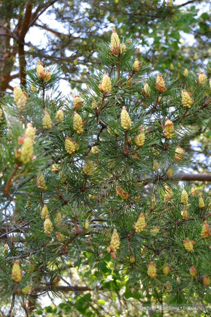 Общероссийский день библиотек, я и маленькие