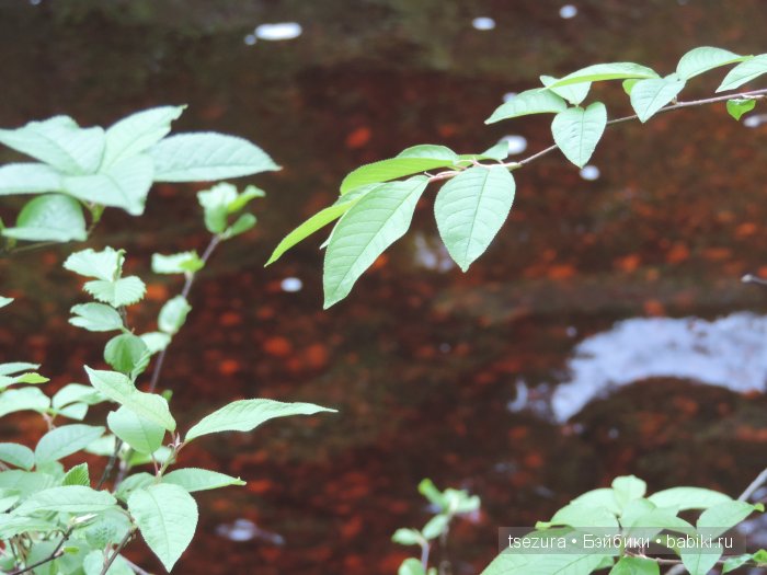 Общероссийский день библиотек, я и маленькие