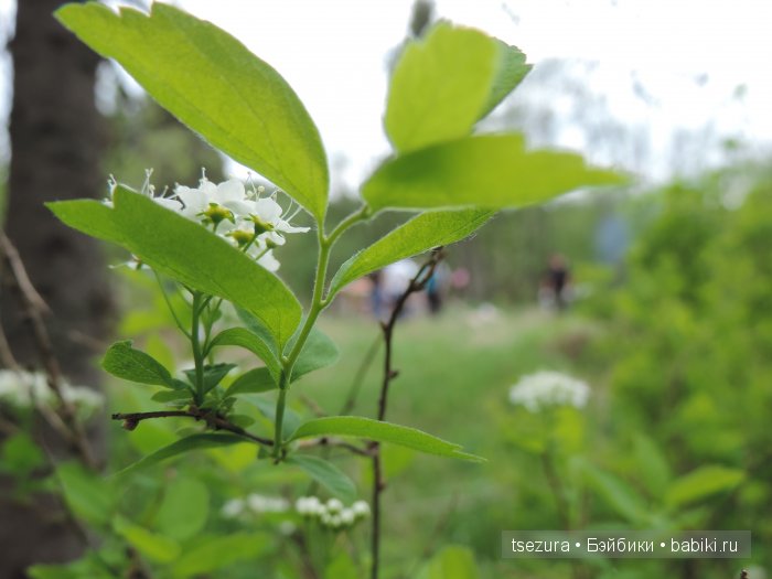 Общероссийский день библиотек, я и маленькие