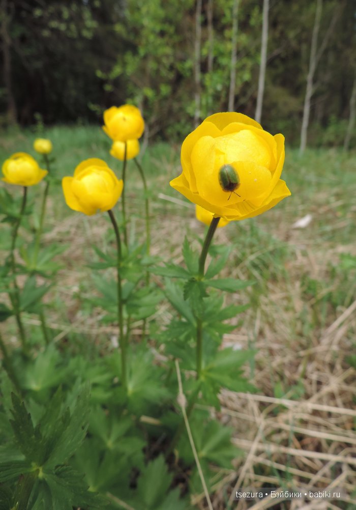 Общероссийский день библиотек, я и маленькие
