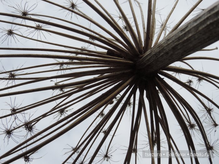 Общероссийский день библиотек, я и маленькие