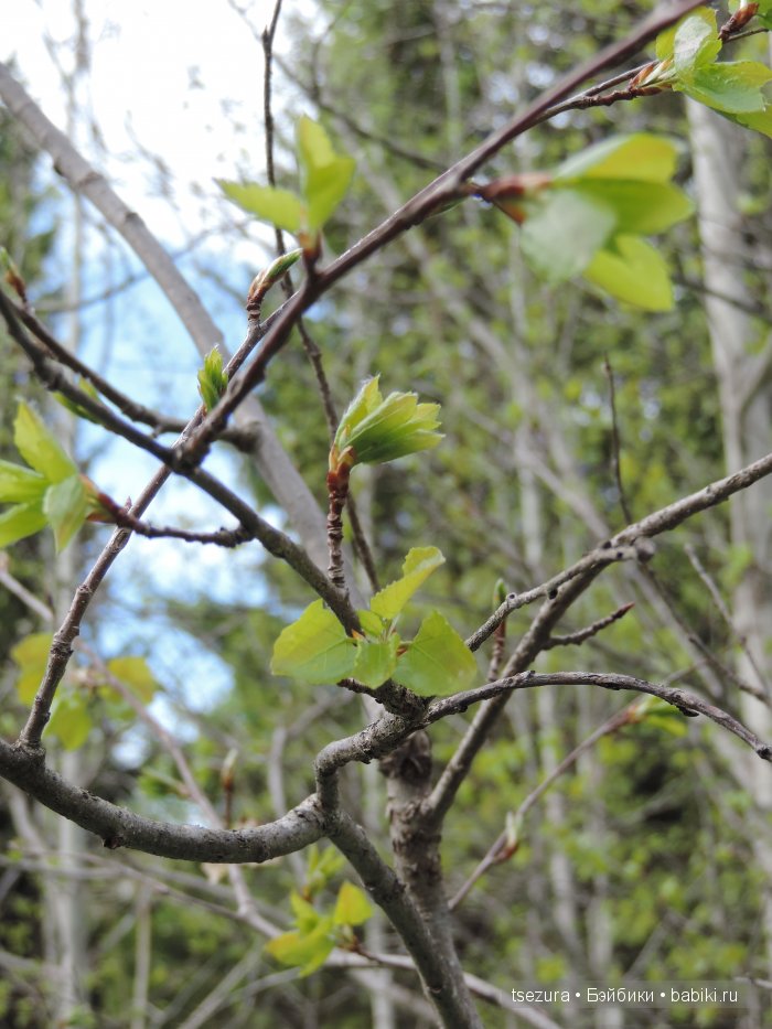 Общероссийский день библиотек, я и маленькие (фото 5)