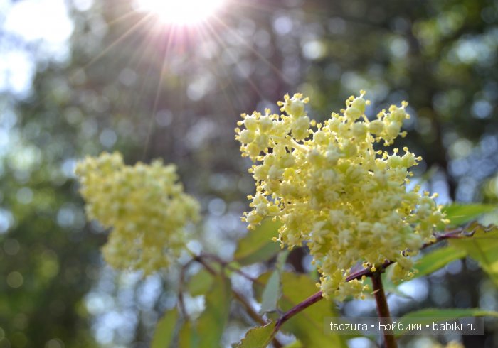 Общероссийский день библиотек, я и маленькие