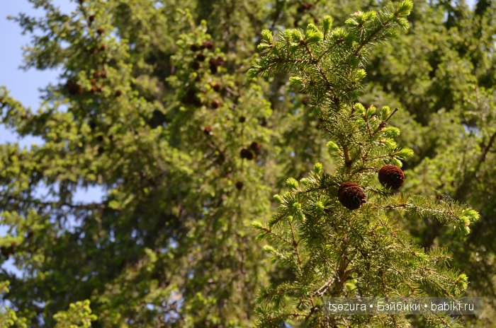 Общероссийский день библиотек, я и маленькие