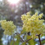 Общероссийский день библиотек, я и маленькие.