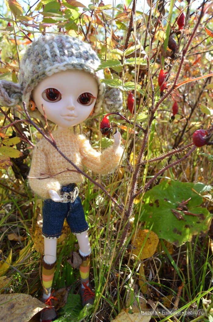 Танкгоу долл