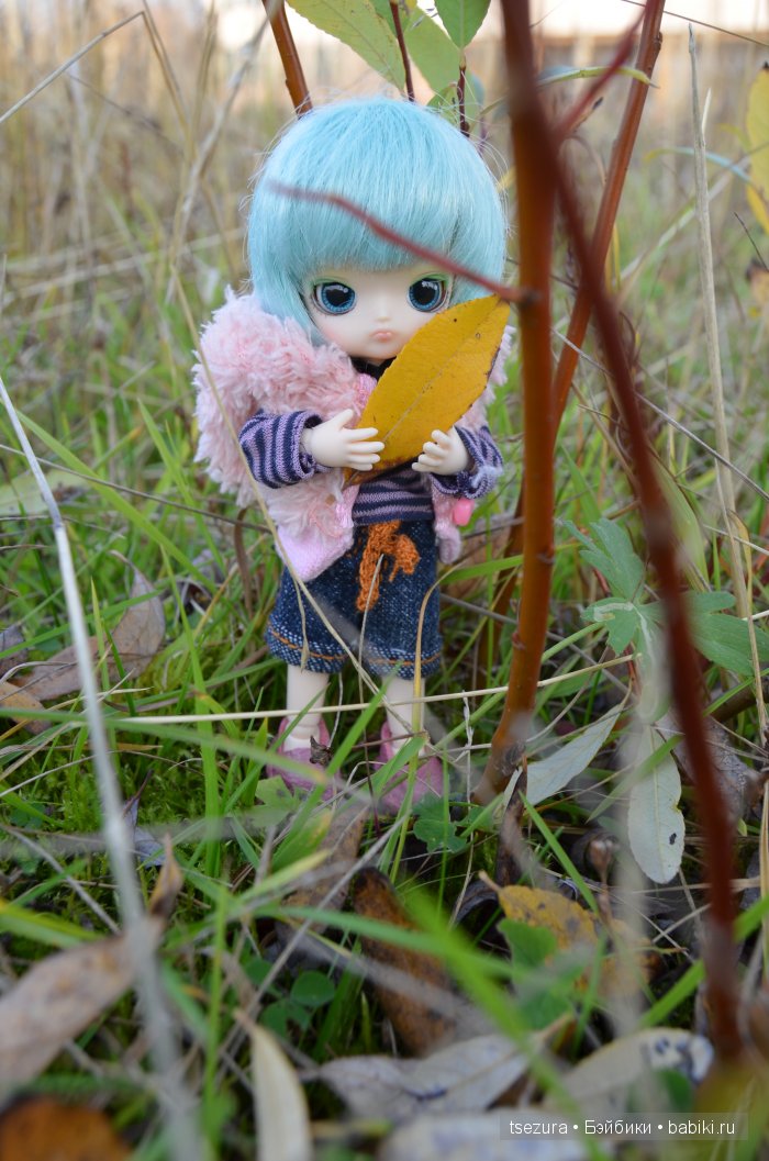 гибридик Литл далл и обитсу