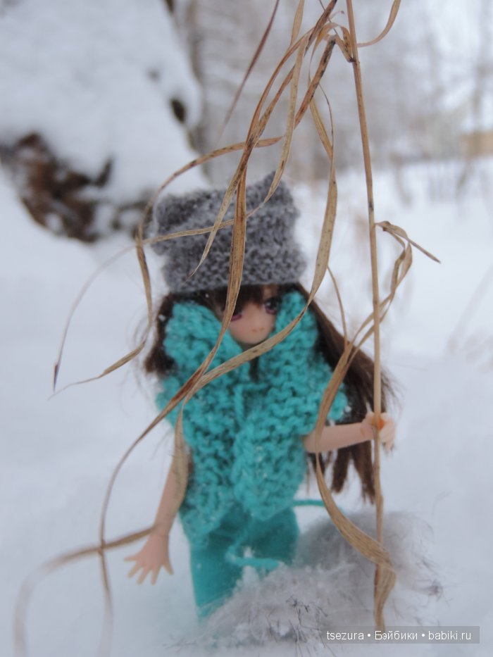 Azone Picconeemo Aika