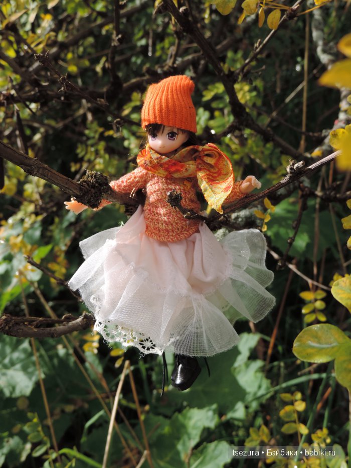 Аниме-осень — Куклы Azone (Азон) и тела Pure Neemo: фото