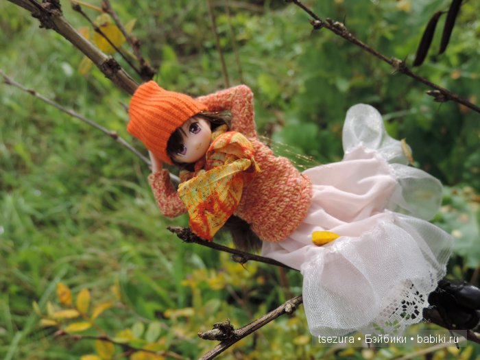 Аниме-осень — Куклы Azone (Азон) и тела Pure Neemo: фото (фото 2)