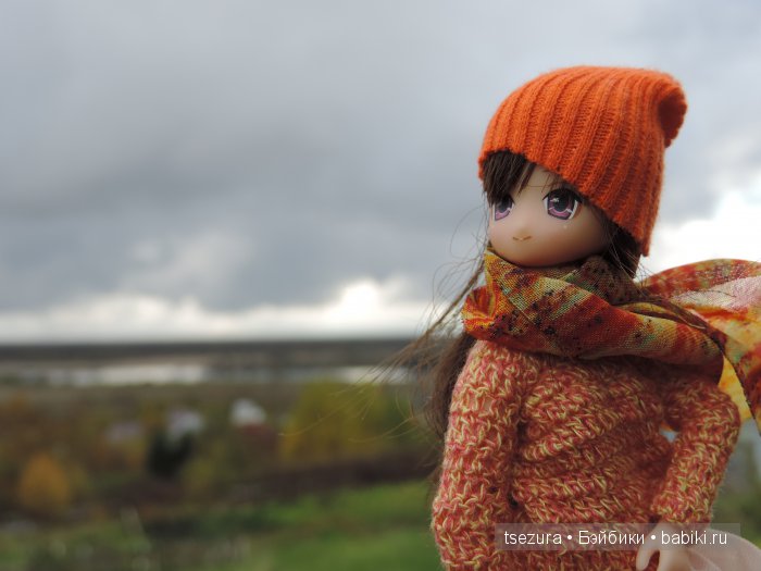 Аниме-осень — Куклы Azone (Азон) и тела Pure Neemo: фото (фото 4)