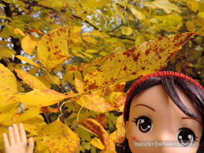 Аниме-осень 2 — Аниме куклы (MJD/Винил): Imomo (фото 4)