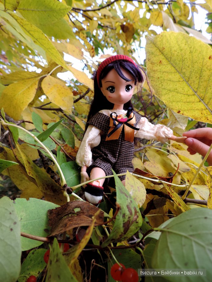 Аниме-осень 2 — Аниме куклы (MJD/Винил): Imomo