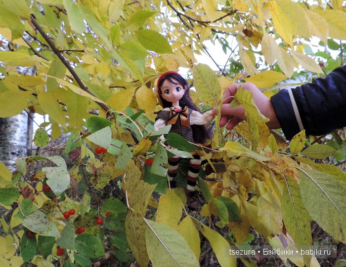 Аниме-осень 2 — Аниме куклы (MJD/Винил): Imomo (фото 7)