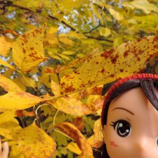 Аниме-осень 2