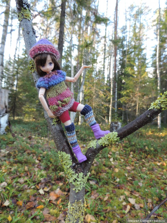 Аниме-осень 3 — Куклы Azone (Азон) и тела Pure Neemo: фото (фото 7)
