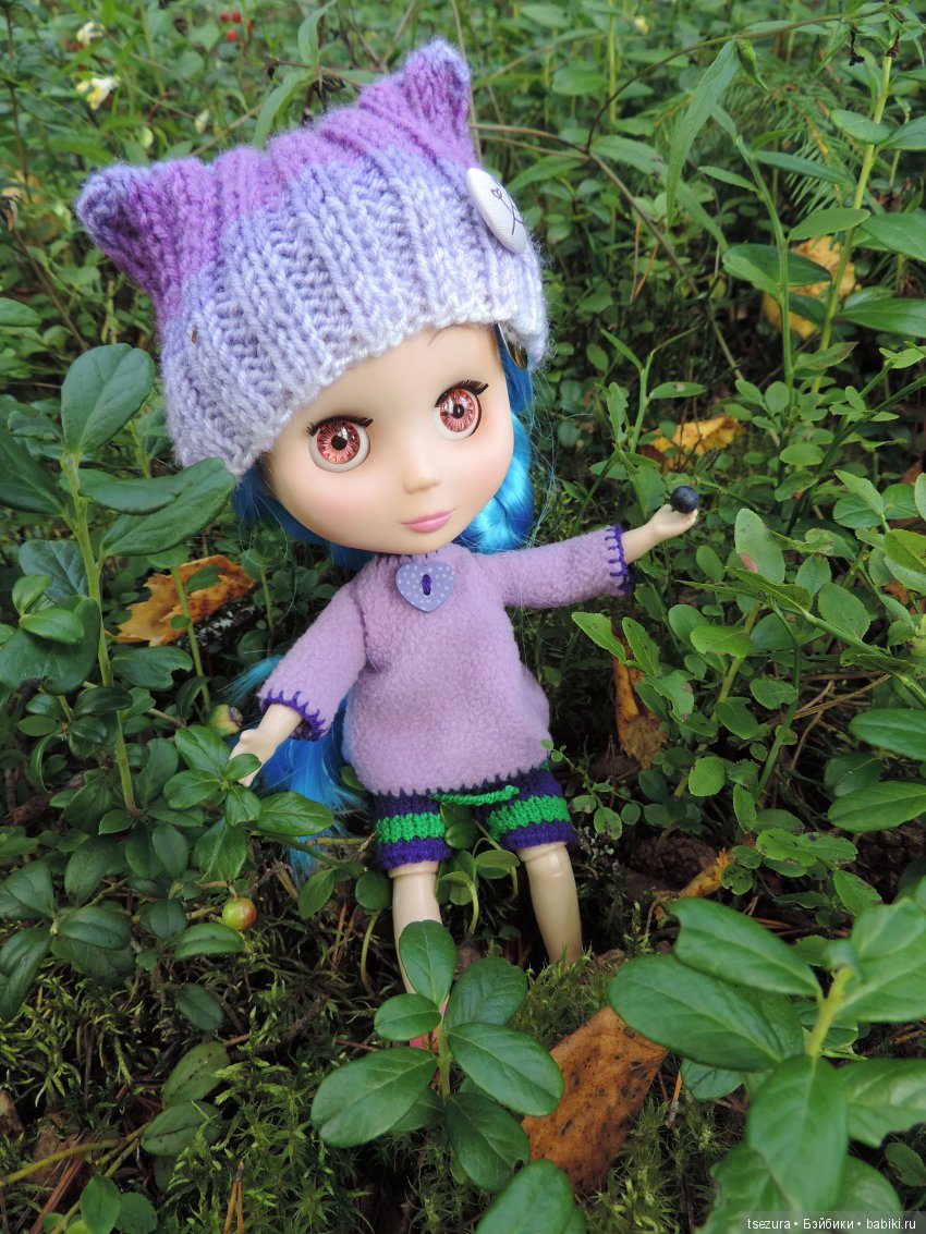 Синевласка открывает мир — Разные шарнирные куклы (не БЖД): редкие