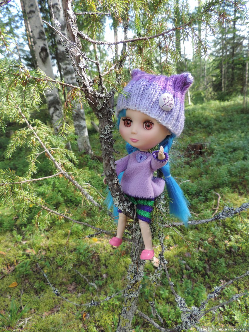 Синевласка открывает мир — Разные шарнирные куклы (не БЖД): редкие