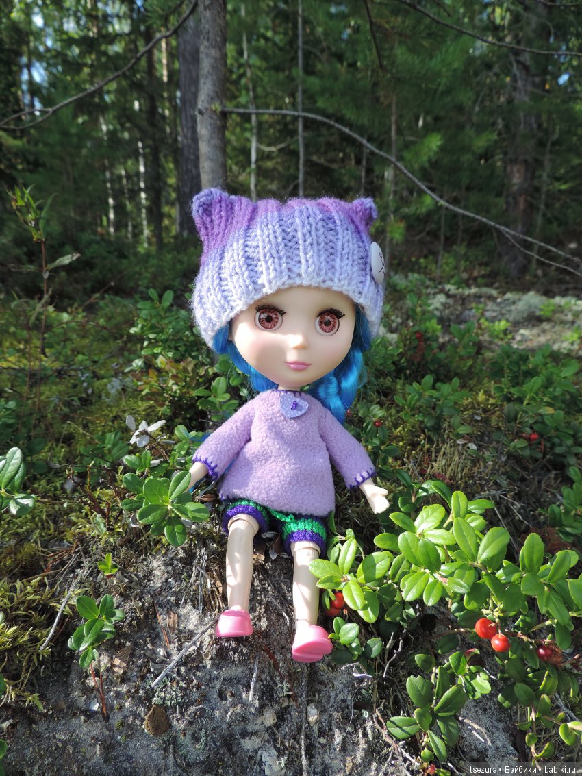 Синевласка открывает мир — Разные шарнирные куклы (не БЖД): редкие