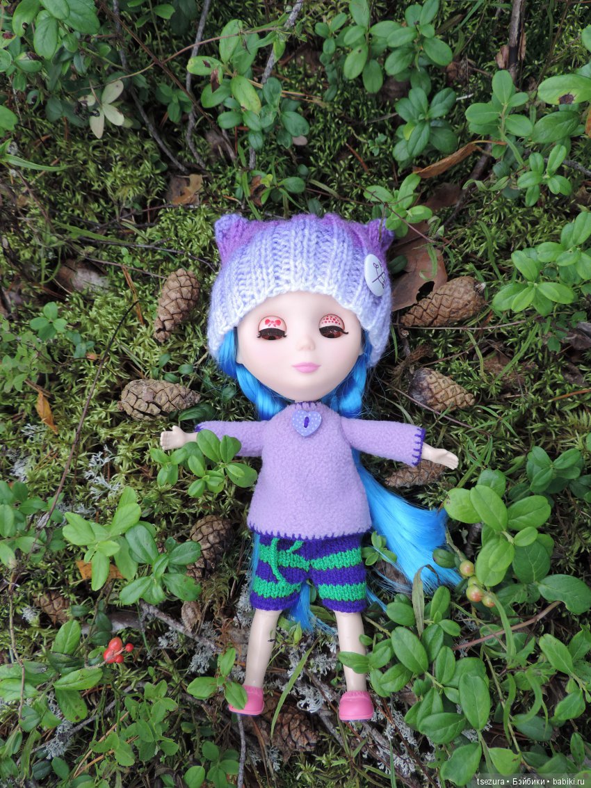 Синевласка открывает мир — Разные шарнирные куклы (не БЖД): редкие