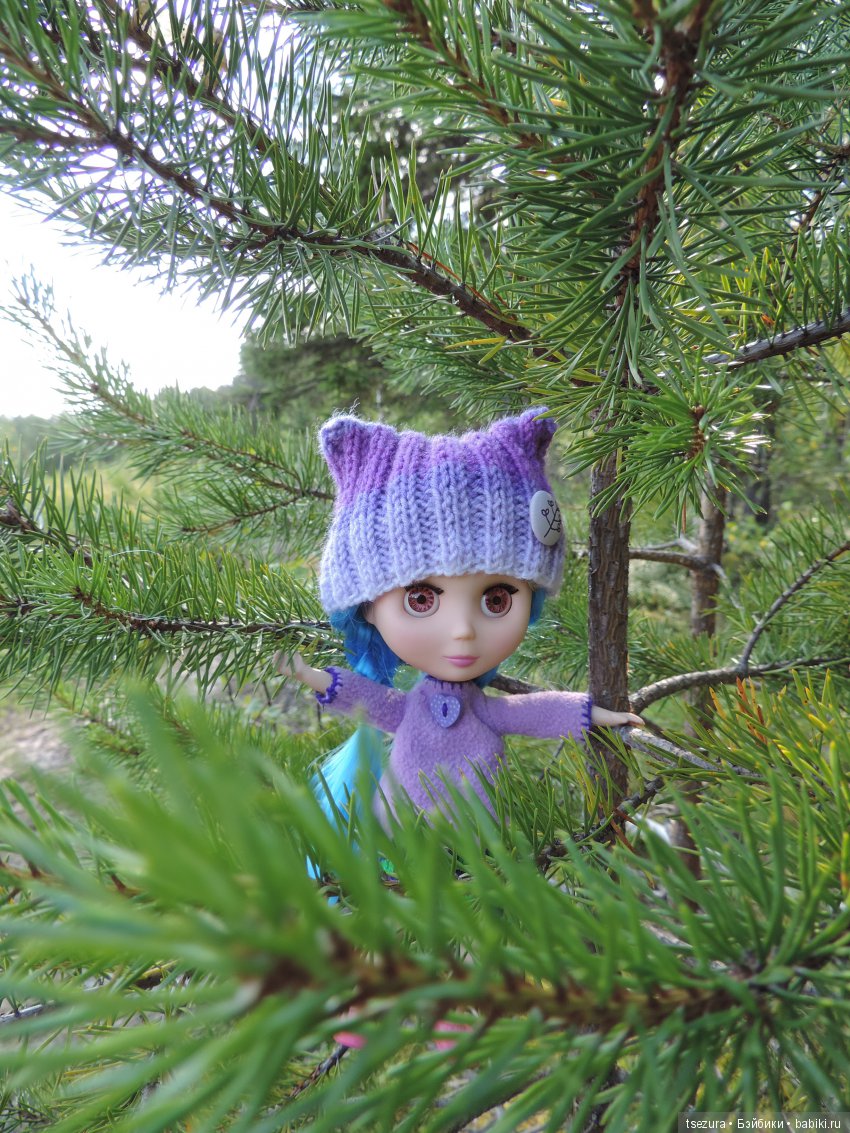 Синевласка открывает мир — Разные шарнирные куклы (не БЖД): редкие