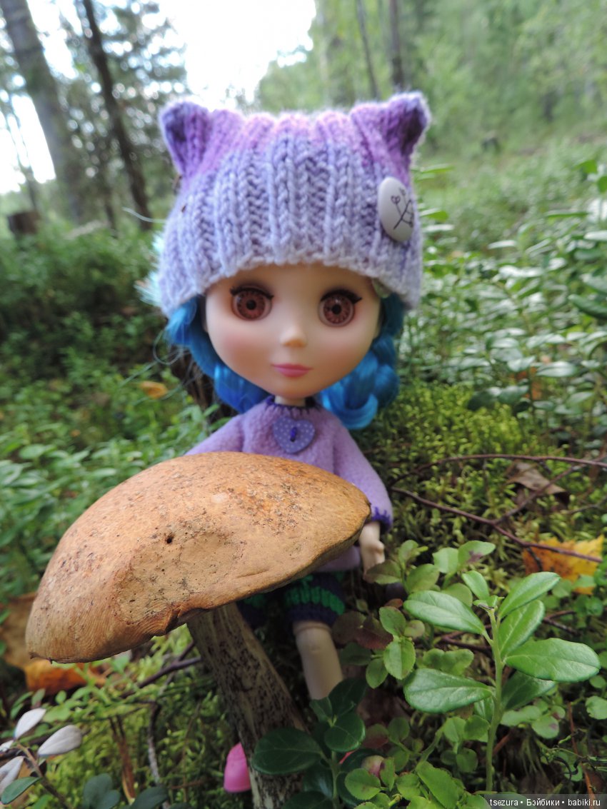 Синевласка открывает мир — Разные шарнирные куклы (не БЖД): редкие