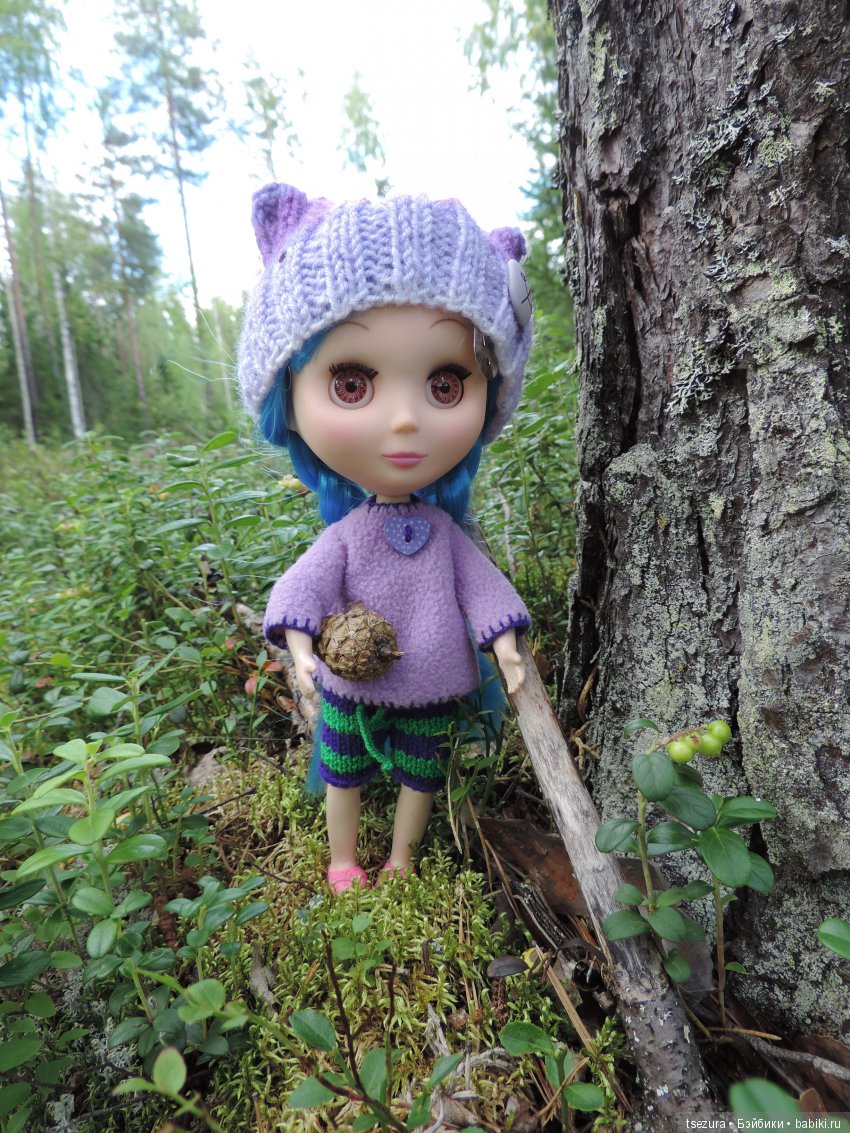 Синевласка открывает мир — Разные шарнирные куклы (не БЖД): редкие