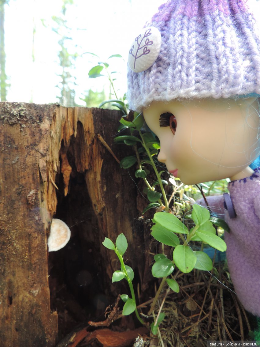 Синевласка открывает мир — Разные шарнирные куклы (не БЖД): редкие