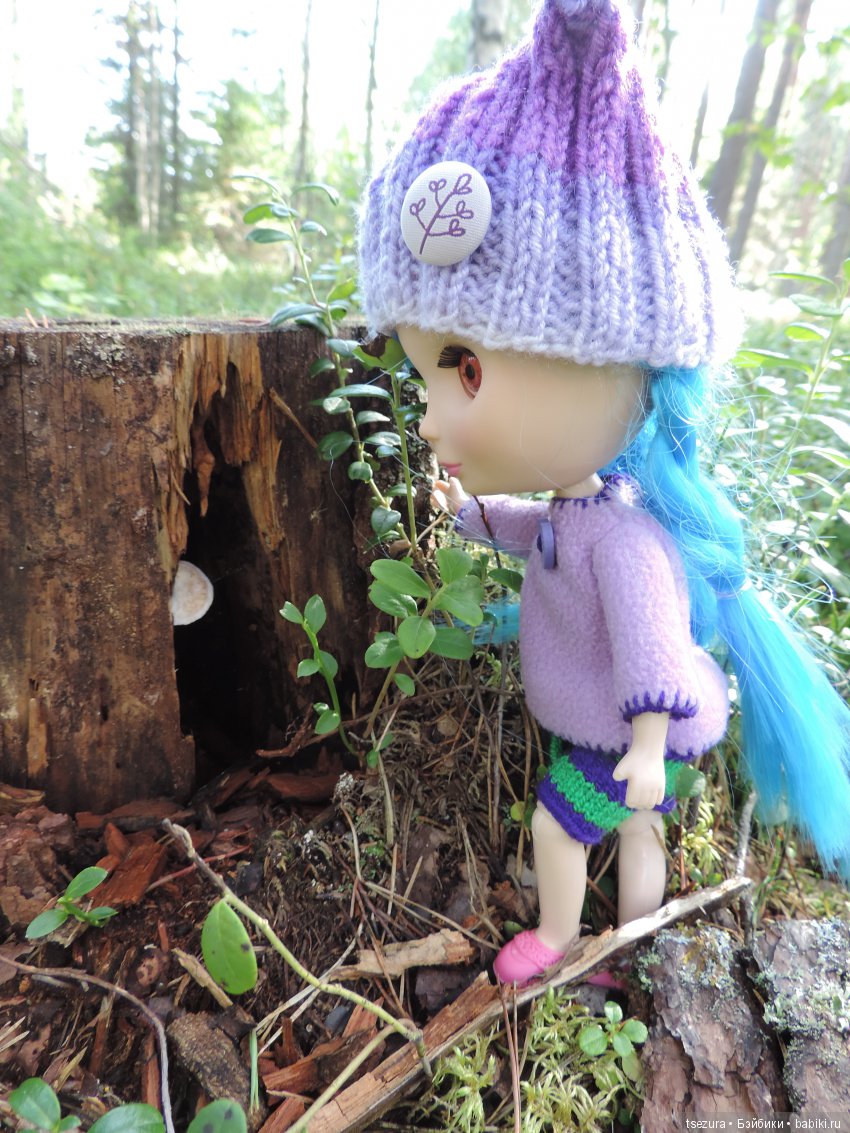 Синевласка открывает мир — Разные шарнирные куклы (не БЖД): редкие