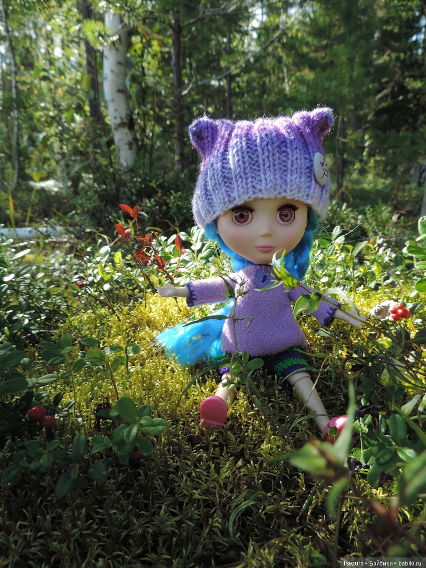 Синевласка открывает мир — Разные шарнирные куклы (не БЖД): редкие (фото 2)