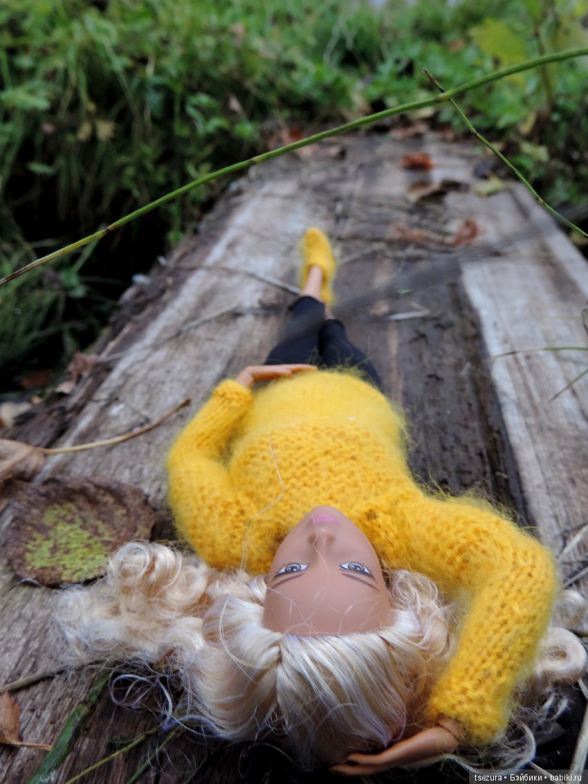 Никогда не говори никогда